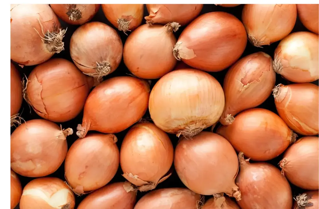 Onion