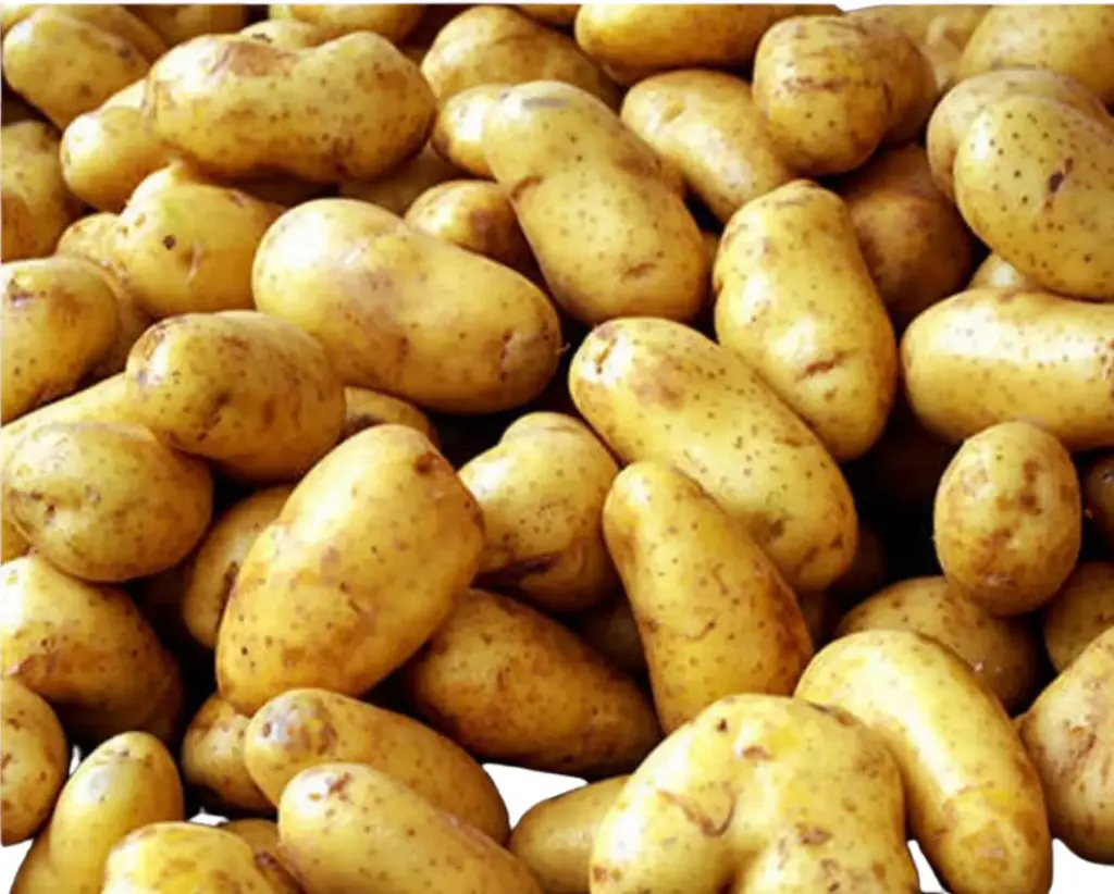 Irish Potato