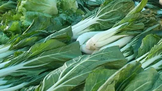 Pak Choi