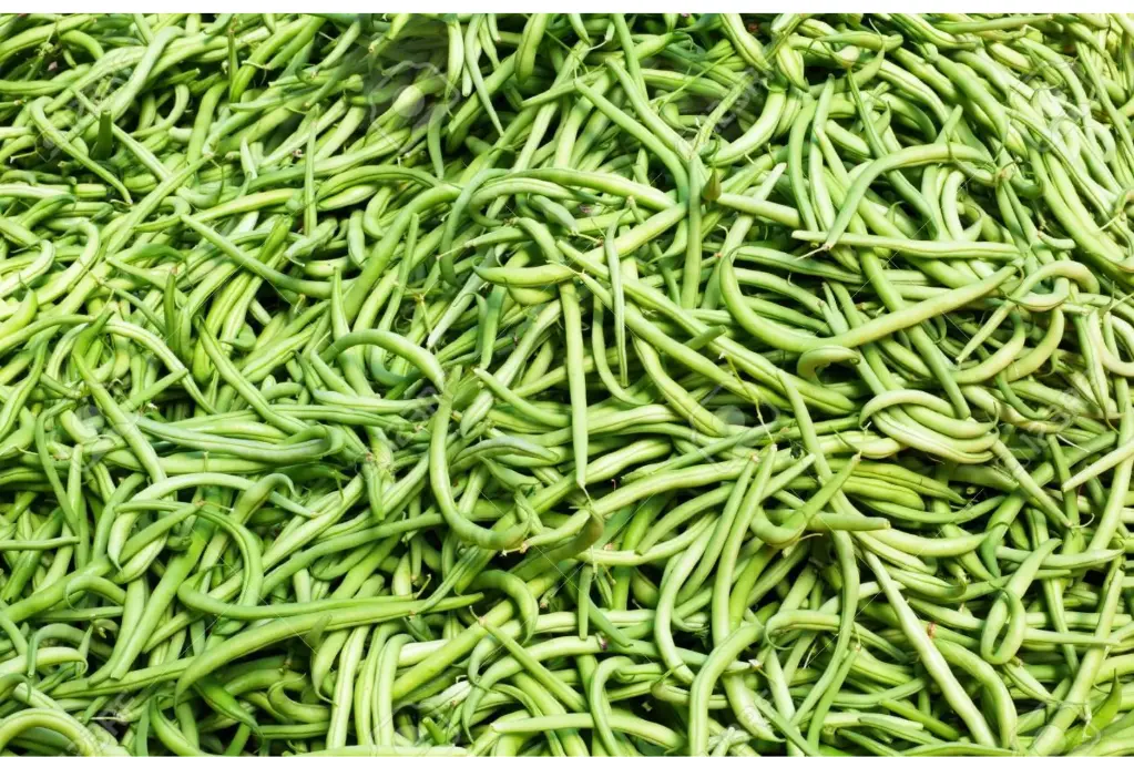 String Beans