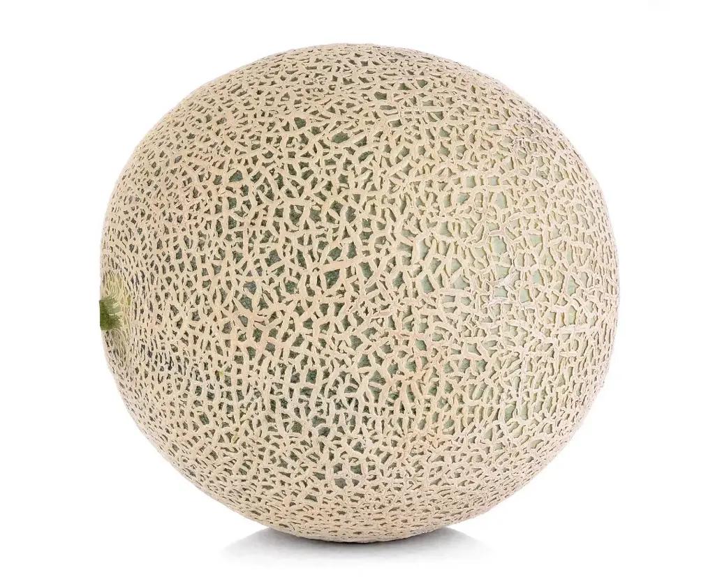 Cantaloupe