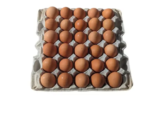 Tray of 30 Eggs