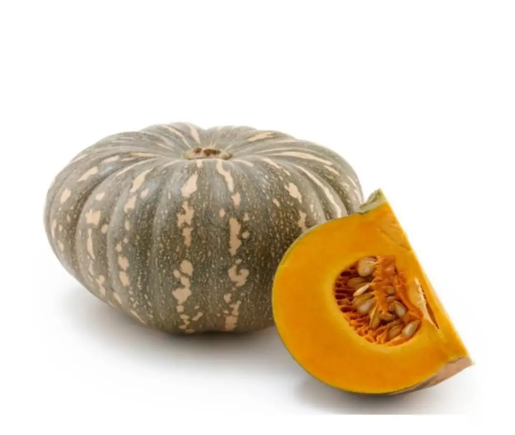 Pumpkin