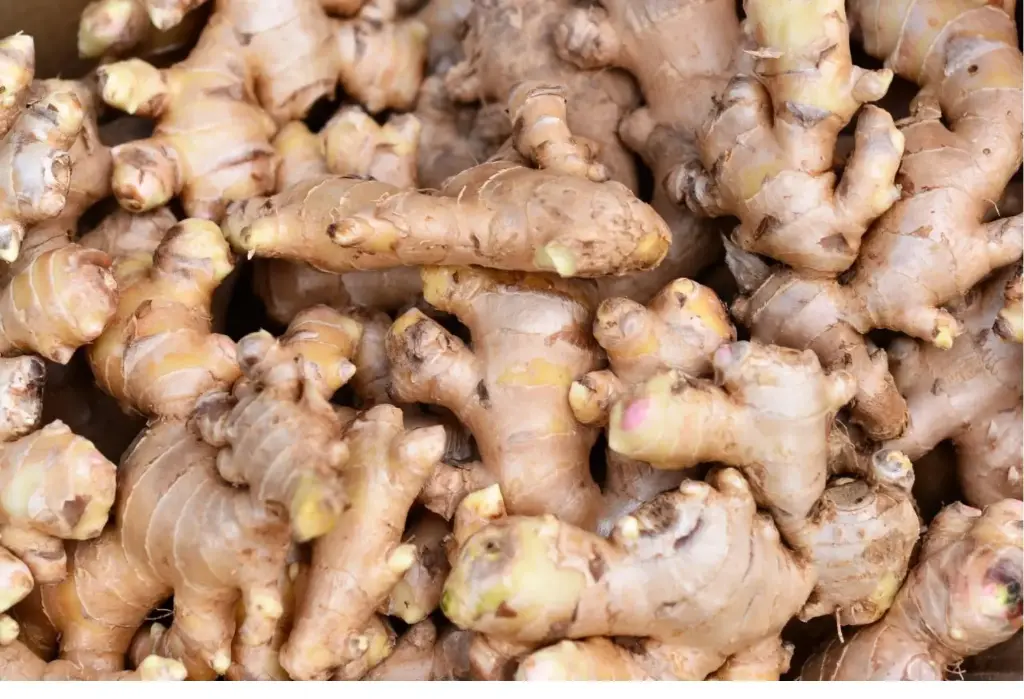Ginger