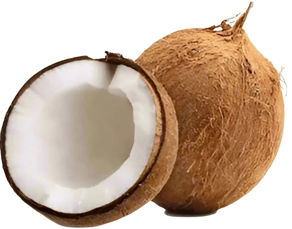 Coconut