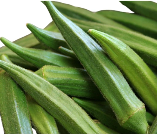 Okra