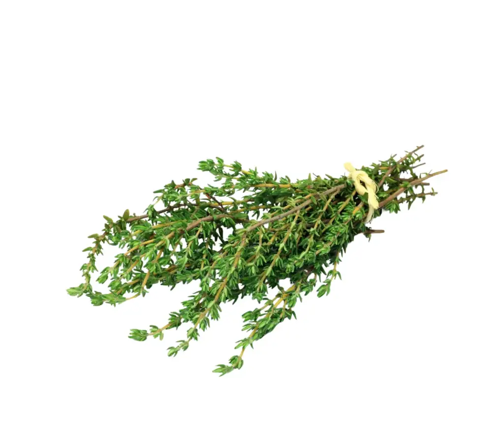 Thyme (bundle)